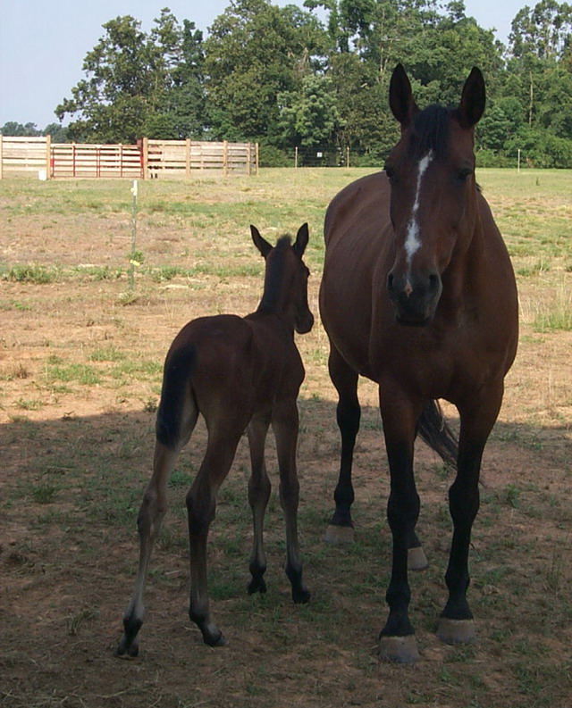 Loretta and new babby