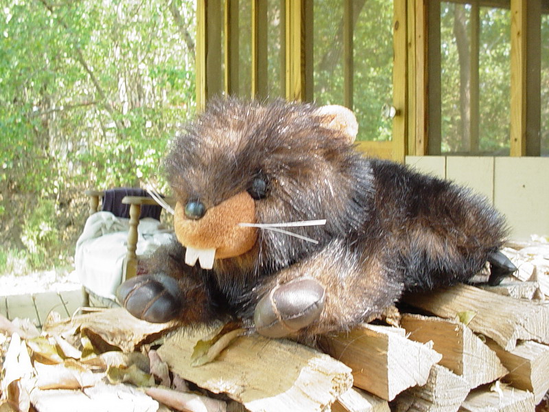 Otis the Beaver Buds Cousiin