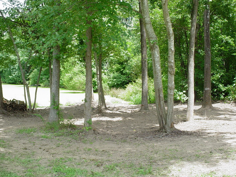 Site of Summer Home